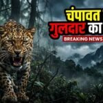 चंपावत में गुलदार का हमला: खेत में काम कर रही 17 वर्षीय किशोरी गंभीर रूप से घायल