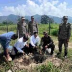 पौधे नहीं, भविष्य की हरियाली तैयार कर रहा एमडीडीए